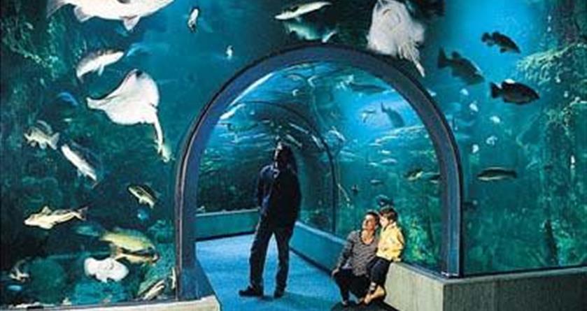 Visite d'ocearium à Croisic - Hotel La Concorde La Baule