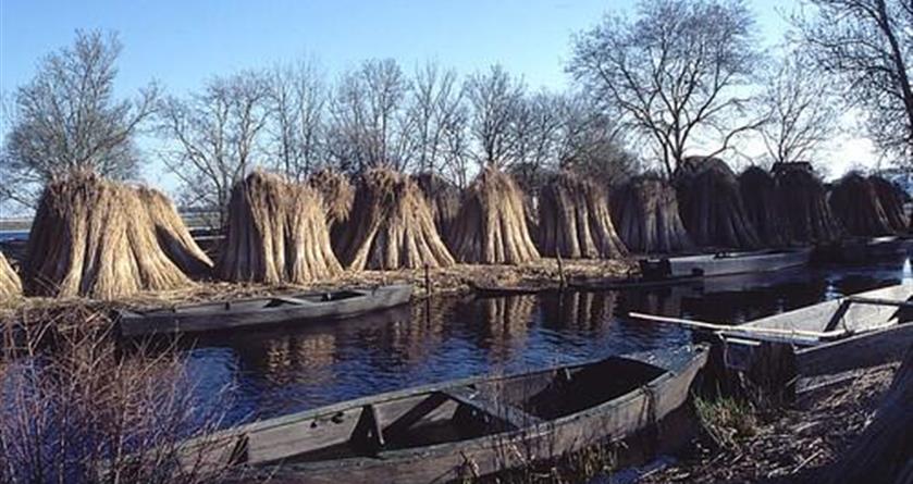 Parc naturel de la brière - Hotel La Concorde La Baule