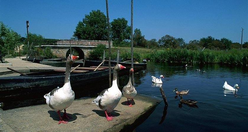 parc de la brière sur la presqu'île de guérande - Hotel La Concorde La Baule